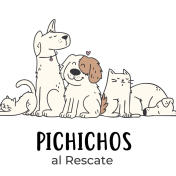 Pichichos al Rescate