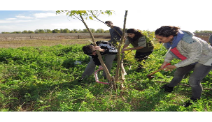 BIOCULTURAL CORRIDORS