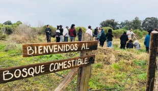 Bosque Comestible - Área de Agricultura Regenerativa