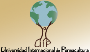 Fondo de becas - Universidad Internacional de Permacultura