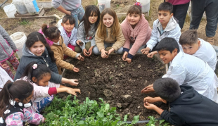 Sembrando Alimentos y Conocimiento en las Escuelas