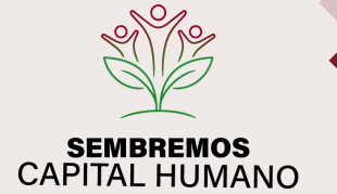 Campaña Anual 2026