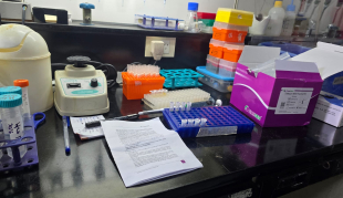 Apoyemos oncología traslacional